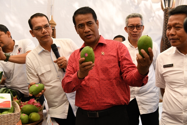 Ekspor Memperkuat Merah Putih, Impor Melemahkan Petani